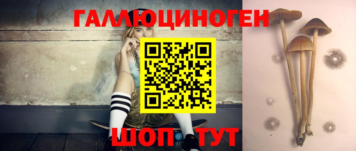 Галлюциногенные грибы Psilocybe Рыбинск
